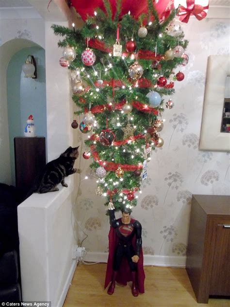 See more ideas about christmas ceiling decorations, christmas, christmas decorations ornaments. Cardiff family hang Christmas tree from the CEILING to ...