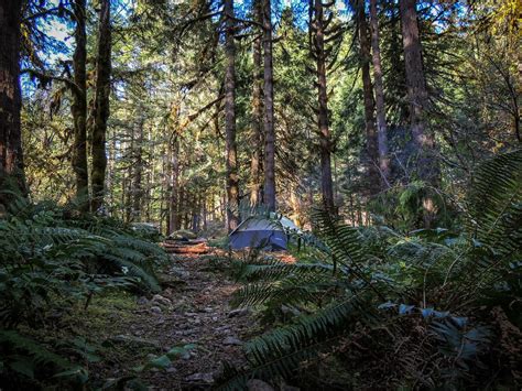 14 Spots For Free Camping In Oregon And How To Find More