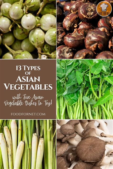 13 Types Of Asian Vegetables With Five Asian Vegetable Dishes To Try Food For Net