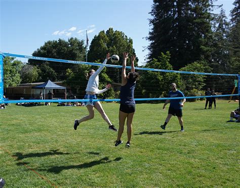 For more information about divisions, click the button below. TS-FLEX-1000 - Tournament Flex 1000 Outdoor Volleyball Net ...