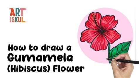 How To Draw A Gumamela Hibiscus Flower Simple And Easy Drawing