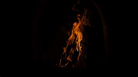 Download Wallpaper 1600x900 Fire Flame Bonfire Dark Firewood
