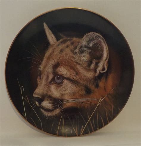 8 cubs of the big cats plate collection princeton gallery by etsy