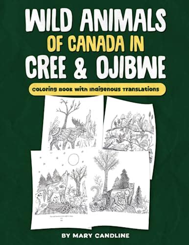 Wild Animals Of Canada In Cree And Ojibwe Coloring Book With Indigenous