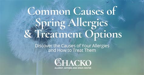 What Causes Spring Allergies Testing Treatment Infographic Chacko