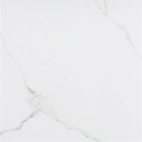 Shop Style Selections Calacatta White Porcelain Floor And Wall Tile