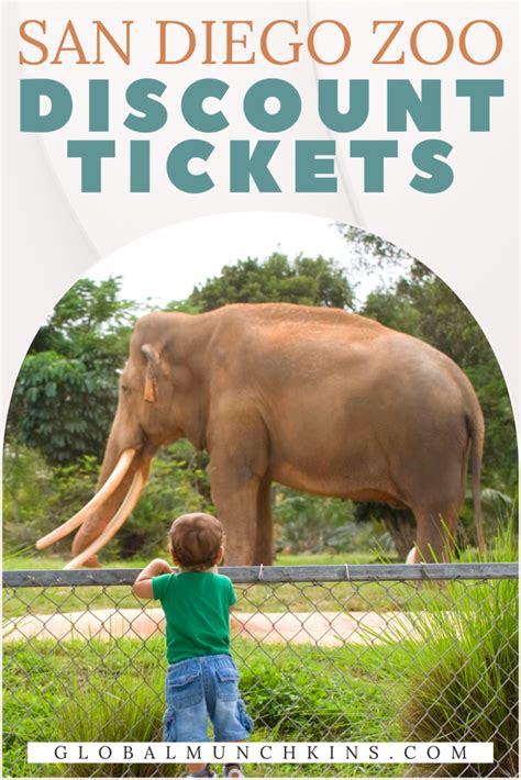 10 Easy Ways To Score San Diego Zoo Discount Tickets