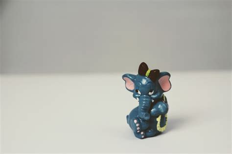 รูปภาพ มือ ช่างภาพ หวาน เปลี่ยว สีน้ำเงิน ของเล่น ช้าง เล็ก
