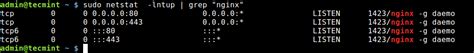 Type the above command and hit enter. 4 Ways to Find Out What Ports Are Listening in Linux
