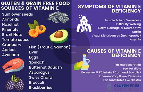 Vitamin E Deficiency Symptoms