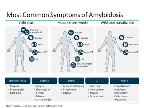 Amyloidosis In Cardiology Practice A Race Against Time