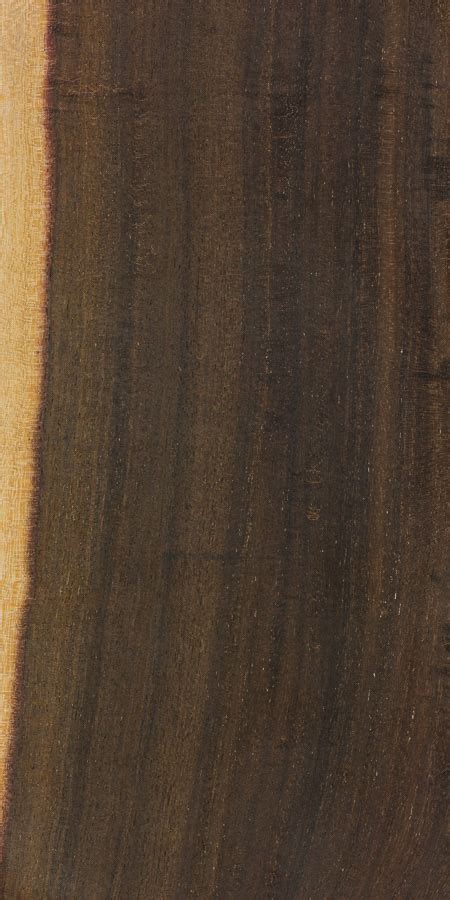European Beech The Wood Database Lumber Identification Hardwood
