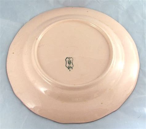 Antique Taylor Smith Taylor Unique Dinner Plate 1800s Pink Etsy