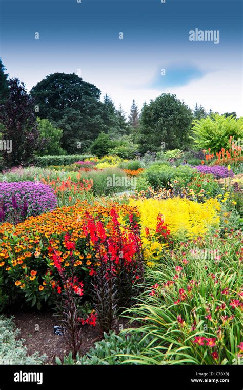 The Hot Garden In The Royal Horticultural Society Gardens At Rosemoor