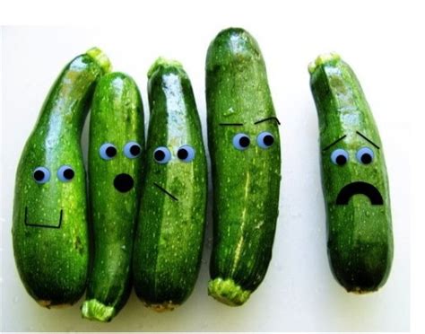 We did not find results for: Zucchini Slice Recipe - Everywhere