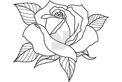 Hand drawn doodle style bouquet of different flowers, succulent, peony, dahlia, stock flower, sweet pea. Drawings Of Roses