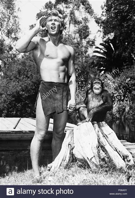 Tarzan, having acclimated to life in london, is called back to his former home in the jungle to investigate the activities at a mining encampment. Tarzan Der Affe Mann Jahr Stockfotos & Tarzan Der Affe ...