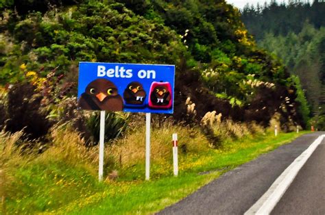 Funny Road Signs In New Zealand Gq Trippin
