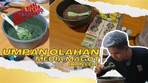 Umpan Sakti Resep Racikan Umpan Galatama Ikan Lele Media Magot