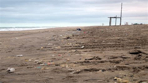 Más Del 80 De Los Residuos No Orgánicos En Playas De Buenos Aires Son