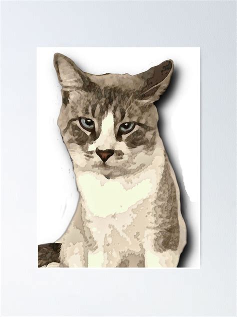 Judgemental Cat Meme Poster For Sale By Tb2018 Redbubble