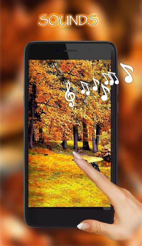 Autumn Rain Live Wallpaper Apk For Android Download