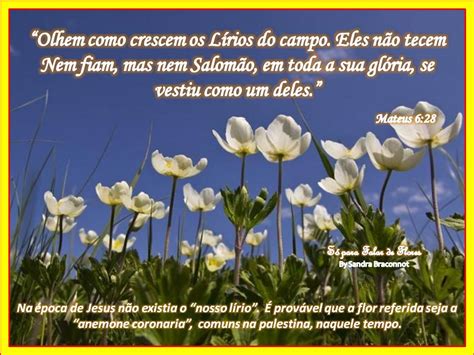 Deus Trabalha Em Silêncio Versículo