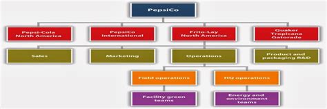 Leadership And Leadership In Business Structure Of The Pepsico