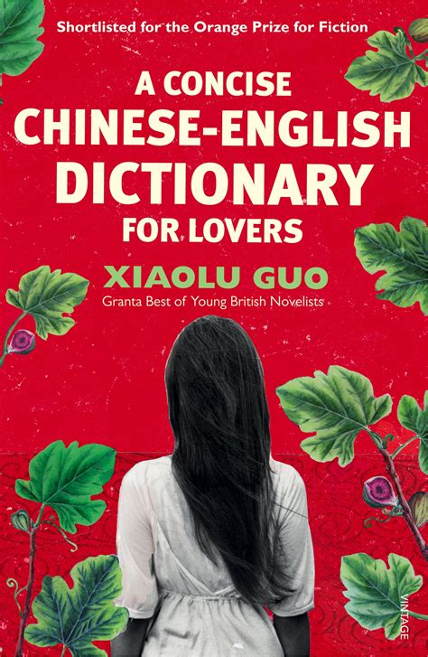 Instant english to chinese translation service; A Concise Chinese-English Dictionary for Lovers by Xiaolu ...