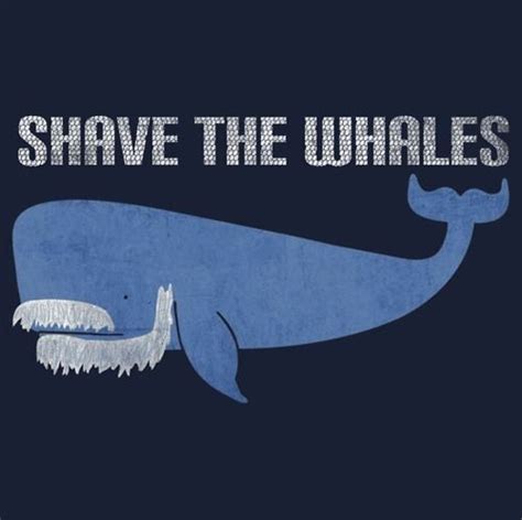 Shave The Whalesthis Is Both Silly And Wonderful Funny Pictures