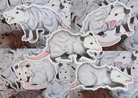 Opossum Sticker Pack Funny Animal Stickers Etsy