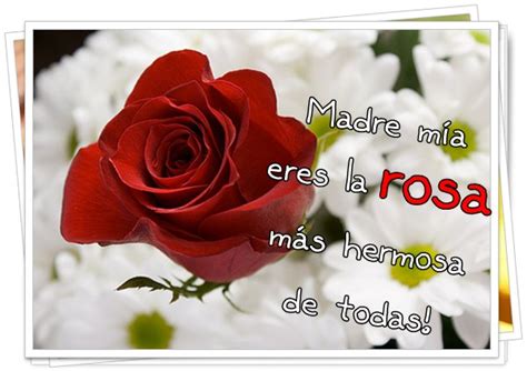 Imágenes De Rosas Rojas Para Mi Madre