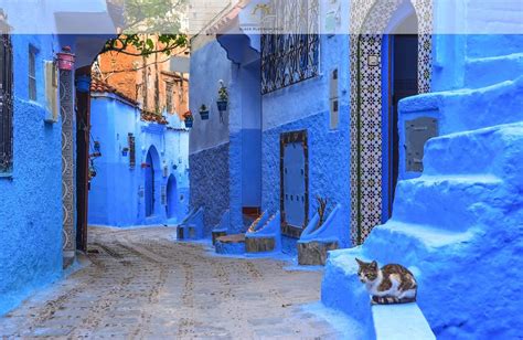 The Truth Behind Chefchaouen Moroccos Blue City Black Platinum Gold