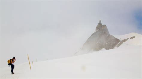 Jungfraujoch In Fieschertal Touren Und Aktivitäten Expediade