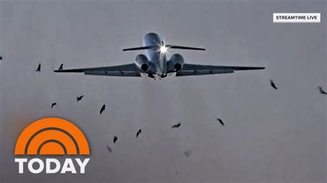 Caught On Camera Us Military Plane Strikes Flock Of Birds Youtube