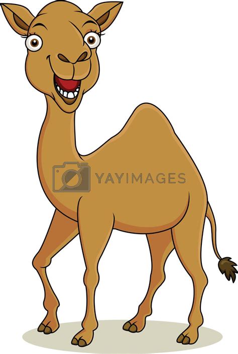 Funny Camel Cartoon By Matamu Vectors And Illustrations With Unlimited Downloads Yayimages