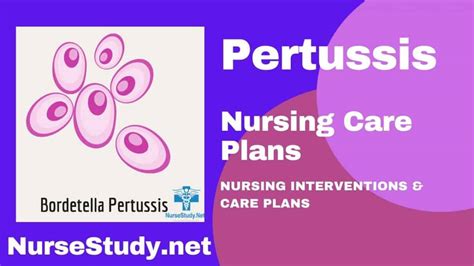 Pertussis Nursing Diagnosis And Nursing Care Plan Nursestudynet