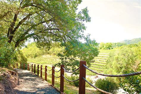 Charitybuzz Private Vip Tours And Tastings At 3 Winemakers Vineyar