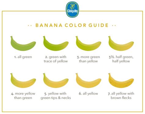 Banana Color Palette