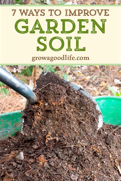 Easy guide to disposing of garden weeds correctly and prevent the development of a weed problem. 7 Simple Techniques to Improve Garden Soil