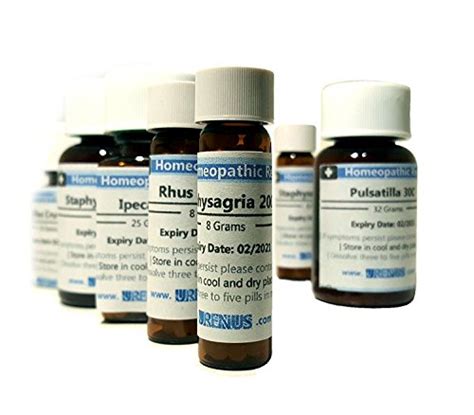 Los Mejores Remedios De 【 Homeopatía Para La Sinusitis