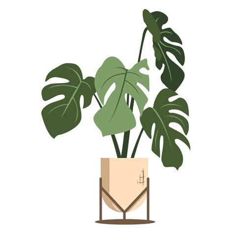 Minimal Aesthetic Monstera Plant Leaf 15275714 Png