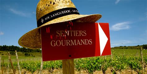 Les Sentiers Gourmands En Clape Vigneronne Côte Du Midi