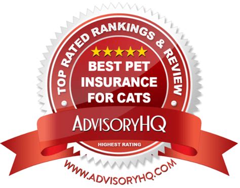 The Best Pet Insurance for Cats | 2017 Ranking | Top 6 ...