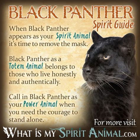 Black Panther Symbolisme Et Signification Esprit Totem Et De L