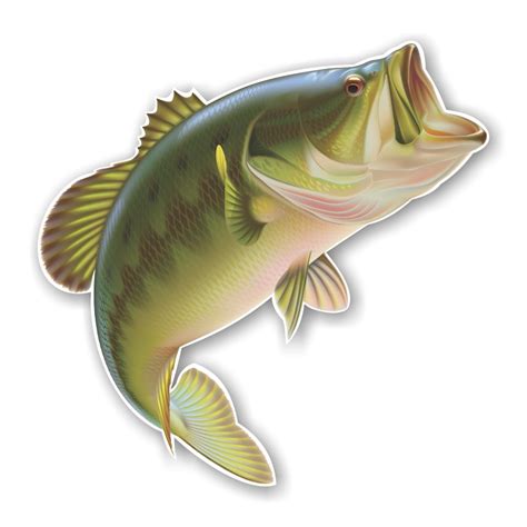 Largemouth Bass Fish Precision Cut Decal Sticker