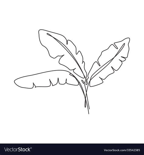 Banana Leaf Line Drawing Vlr Eng Br