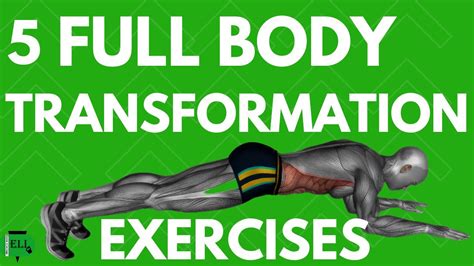 Achieve A Full Body Transformation With These 5 Top Notch Exercises