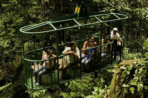 Rainforest Adventures: Aerial Tram Adventure - Babonneau | Project Expedition