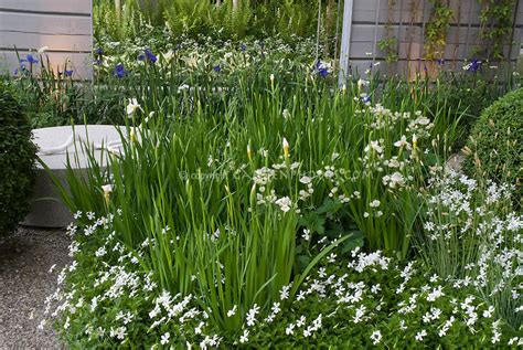 Maybe you would like to learn more about one of these? White Evening Garden with Lights | Plant & Flower Stock ...